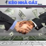 Làm Cò Cá Độ Bóng Đá – Thực Trạng, Rủi Ro Và Hệ Lụy