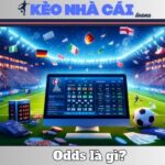 Odds Là Gì? Giải Thích Rõ Ràng, Thực Tế Và Dễ Hiểu