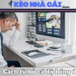 Từ Bỏ Cá Độ Bóng Đá – Lộ Trình Thực Tế Để Lấy Lại Tự Do