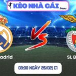 Soi kèo Real Madrid vs SL Benfica (03:00 ngày 26/02| C1)