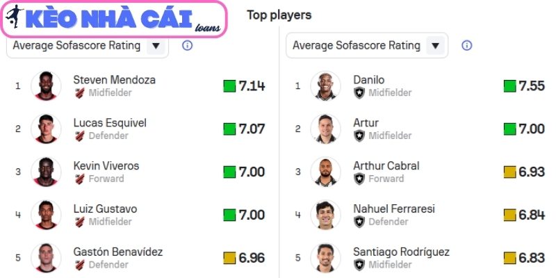 Thông tin lực lượng trận Atletico Paranaense vs Botafogo (RJ) (04:30 ngày 30/03)