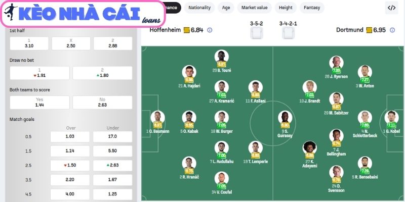 Thông tin lực lượng Hoffenheim vs Borussia Dortmund (20:30 ngày 18/04, Bundesliga)